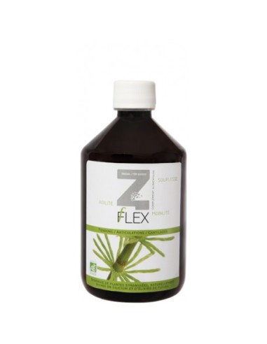 Z-Flex Eco 500 Ml. de Mint-E H.