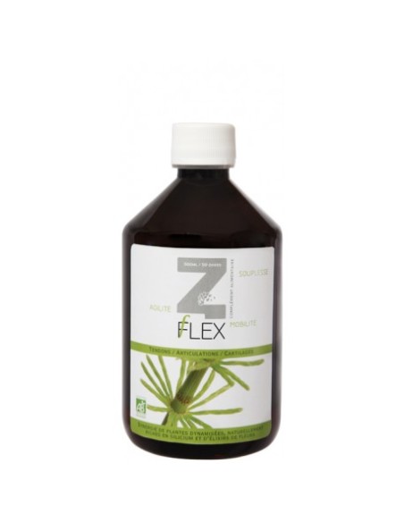 Z-Flex Eco 500 Ml. de Mint-E H.
