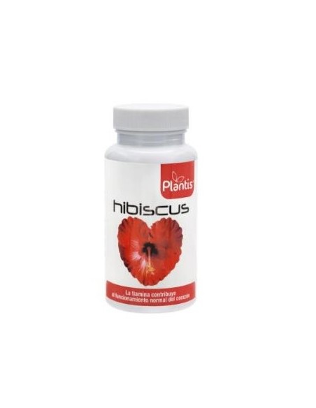 Hibiscus Plantis 60Cap. de Artesania