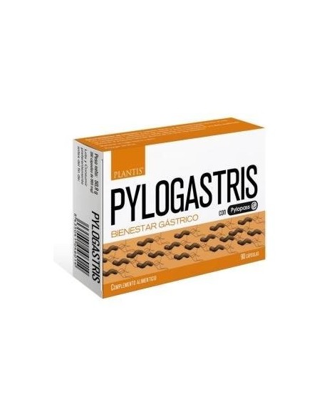 Pylogastris 90Cap. de Artesania