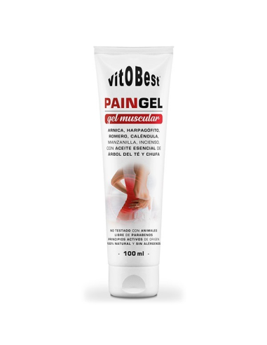 Pain Gel 9 X 100 Ml de Vit.O.Best