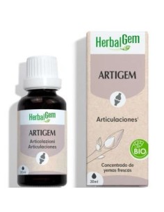 Yemocomplejos Artigem Gc02 Bio 30 Ml de Herbalgem