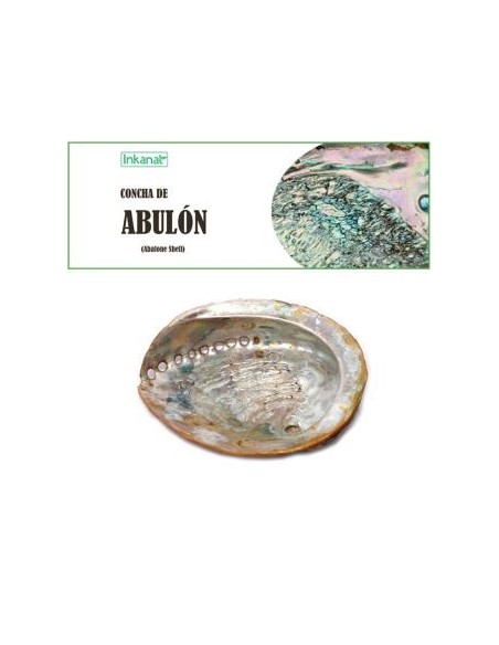 Concha De Abulon 12-14Cm 1Ud. de Inkanat