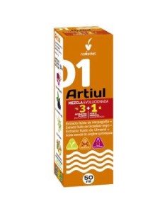 Artiul+Aceite Es. Jengibre Envase de 50 ml. de Novadiet