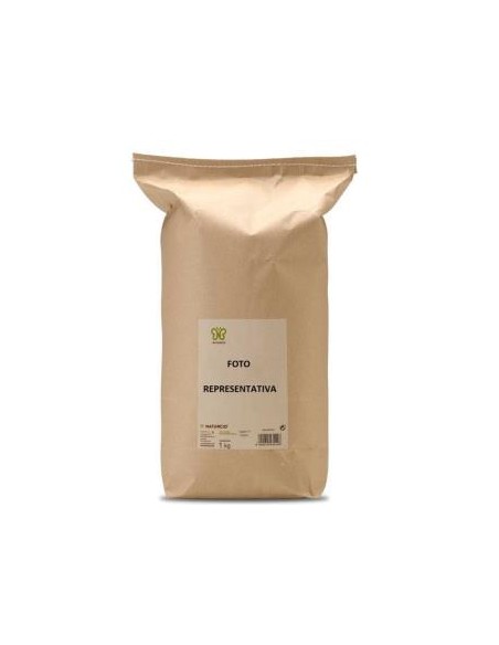 Ginkgo Biloba 1 Kg. de Naturcid