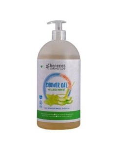 Gel Baño Familiar Wellness Momenst Aloe-Melisa 950 Ml de Benecos
