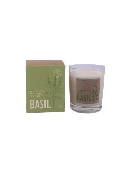 Vela Vaso Botvasb Basil 7,5X9Cm 1Ud de Cerabella