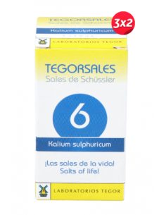 Tegorsal Nº 6 (20 G) Comprimidos de Tegor 2
