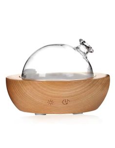 Bulle Cristal Recambio para Difusor Pranarom Original 2