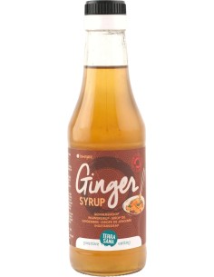 Sirope De Jengibre 250 Ml de Terrasana 2