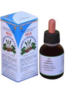 Msa Sorbus Domestica  Yemas (Serbal Común) de Herboplanet 2