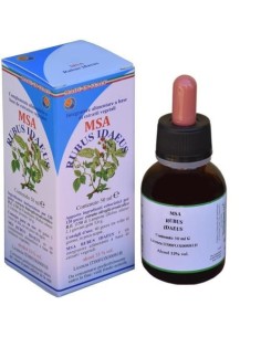 Msa Rubus Idaeus Jóvenes Brotes (Frambueso) de Herboplanet 2