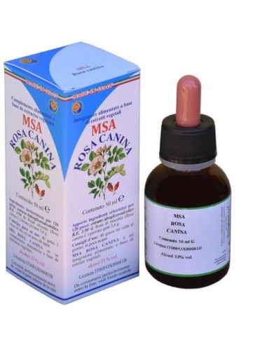 MSA Rosa Canina