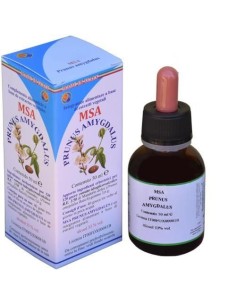 Msa Prunus Amygdalus Yemas (Almendro) de Herboplanet 2