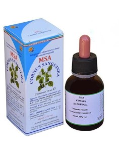 Msa Cornus Sanguinea Yemas (Sanguiño) de Herboplanet 2