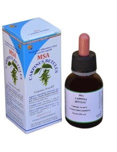 Msa Carpinus Betulus Yemas (Carpe Blanco) de Herboplanet 2