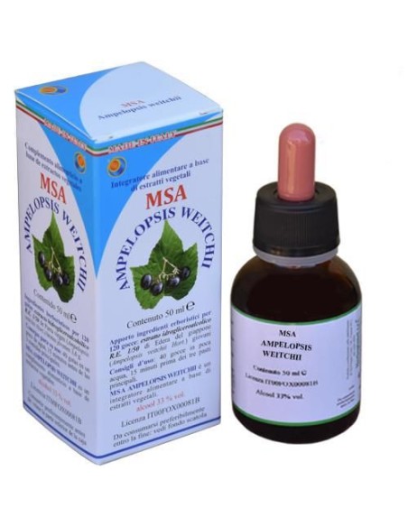 MSA Ampelopsis Weitchii