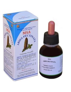 Msa Abies Pectinata  Yemas (Abeto Blanco) de Herboplanet 2