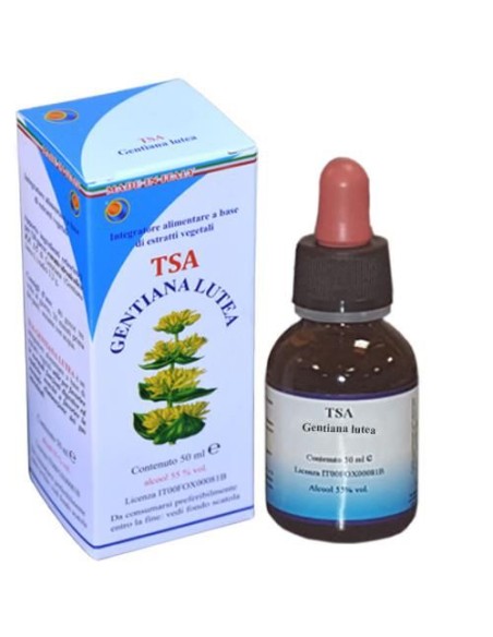 TSA Gentiana Lutea