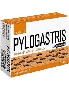 Pylogastris 90Cap. de Artesania 2