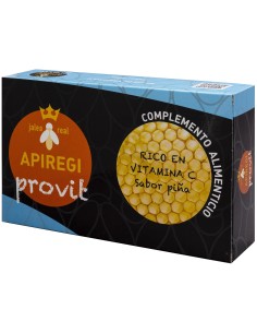 Apiregi Provit 20Amp. de Artesania 2