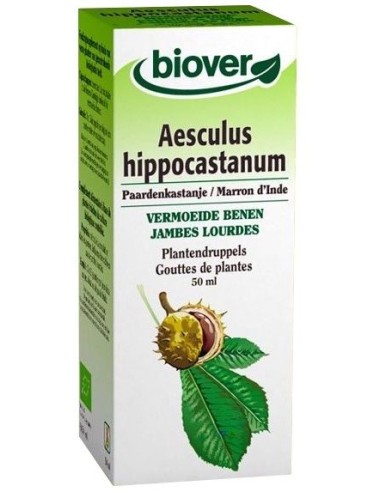 Aesculus hippocastanum (Castaño de Indias)