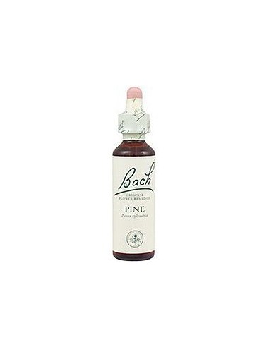Pine nº 24