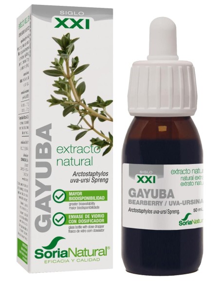 Extracto de Gayuba XXI