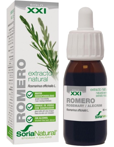 Extracto de Romero XXI