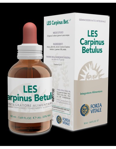LES Carpinus Betulus