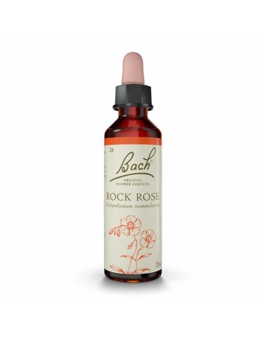 (26) Rock Rose