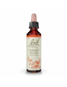(06) Cherry Plum