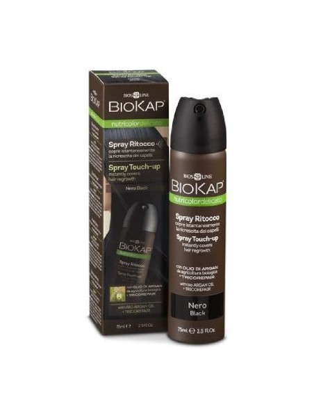 Spray Touchp-Up Negro