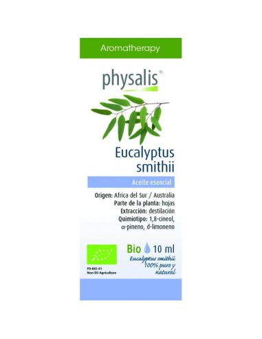 Aceite Esencial Eucalipto Smithii