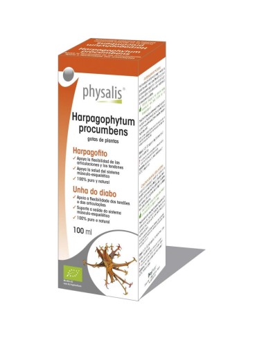 Tintura Harpagophytum Procumbens (Harpagofito)