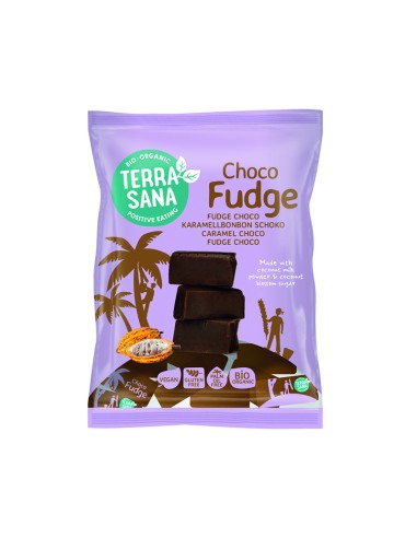 Fudge Choco