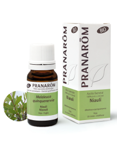 Niauli Hoja 100 ml Bio Pranarom – Aceite Esencial Natural