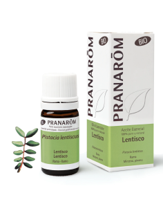 Lentisco Rama Bio Eco* 5 ml Pranarom – Aceite Esencial Puro