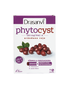 Phytocyst Pocket 15 Comp de Drasanvi