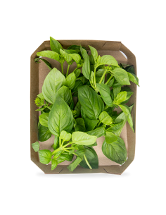 Albahaca Bolsa 40G Plantis de Artesania