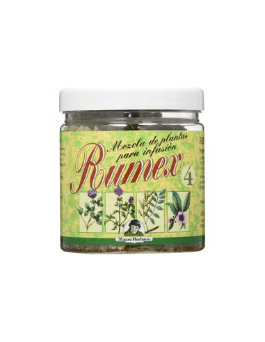 Pack 4x3  Zaragatona Bolsa 60 G Plantis de Artesania