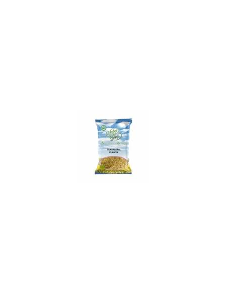 Pack 4x3  Olivo Hoja Bolsa 40 G Plantis de Artesania
