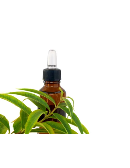 Llanten Hoja Bolsa 40g Planti Artesanía Natural y Calidad