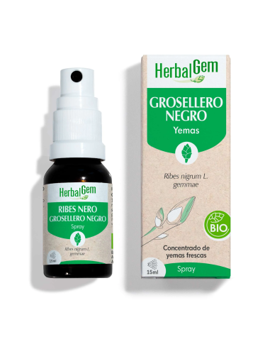 Grosellero Negro Bio Spray 15 ml | Herbalgem Natural y Eficaz