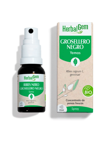 Grosellero Negro Bio Spray 15 ml | Herbalgem Natural y Eficaz