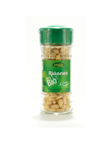 Pack 6 Uds. Piñones Bio 50 g  de Artemis Bio