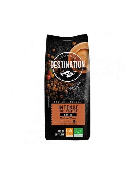 Café En Grano Intenso Arábica Bio, 1 Kg de Destination