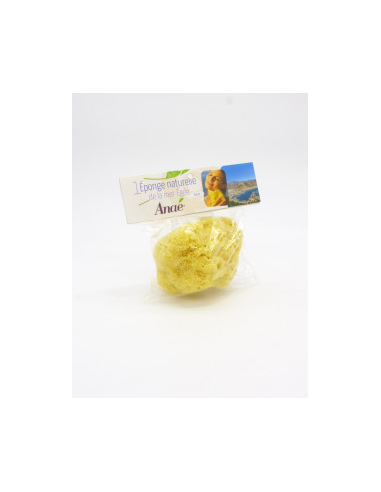 Esponja marina 10-12cm Anae de Anaé