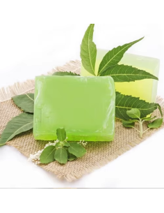 Jabón ayurvédico de neem, 75g_PENC** de Ecodis