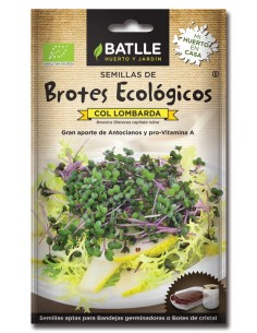Brotes col lombarda para germinar, sobres de Batlle